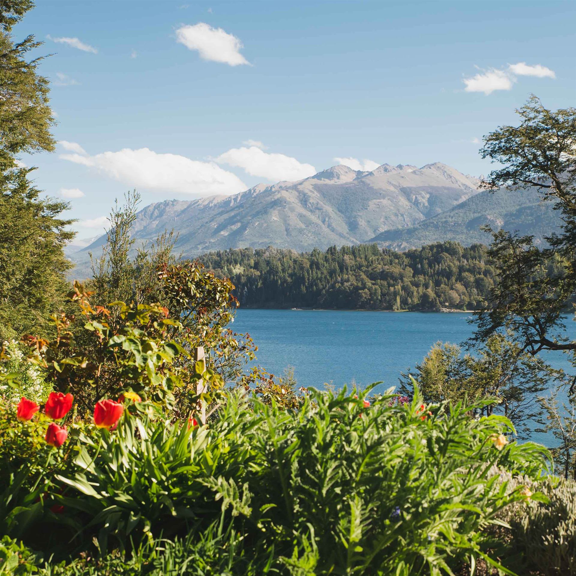 El jardín y el lago